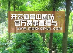 种植基地九