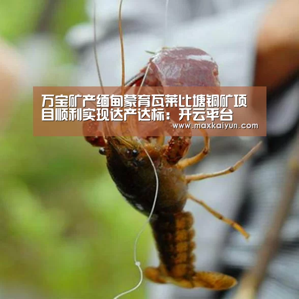 万宝矿产缅甸蒙育瓦莱比塘铜矿项目顺利实现达产达标:开云平台(图1) 开云体育移动端