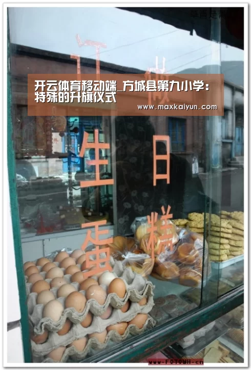 开云体育移动端_方城县第九小学:特殊的升旗仪式(图2) 开云体育移动端