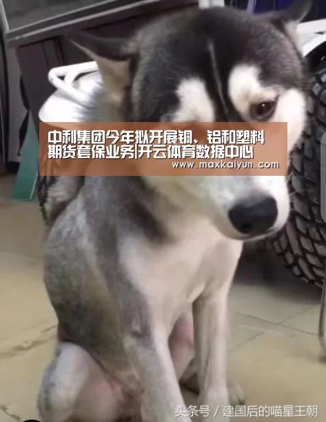中利集团今年拟开展铜、铝和塑料期货套保业务|开云体育数据中心(图1) 开云体育入口