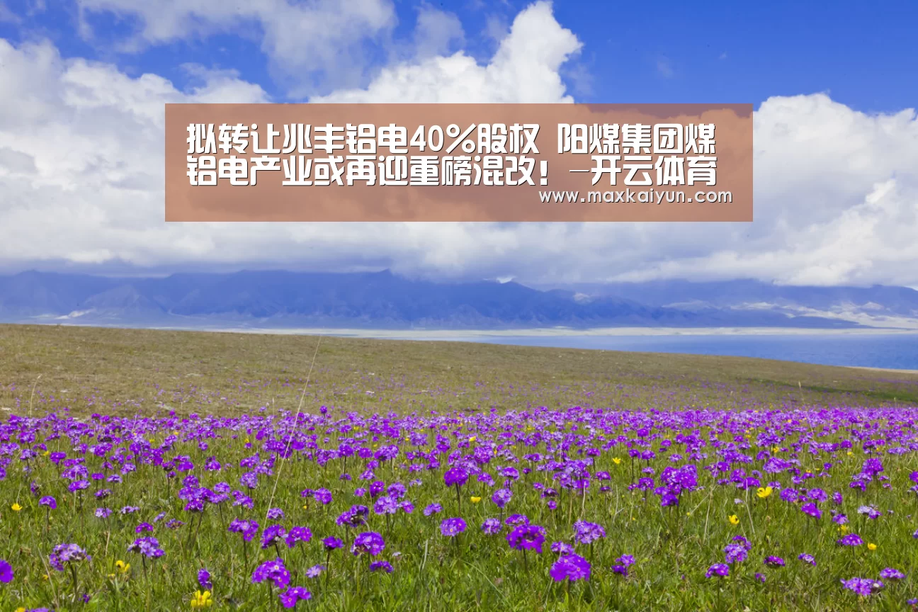 拟转让兆丰铝电40%股权 阳煤集团煤铝电产业或再迎重磅混改!-开云体育移动端(图4) 开云体育入口