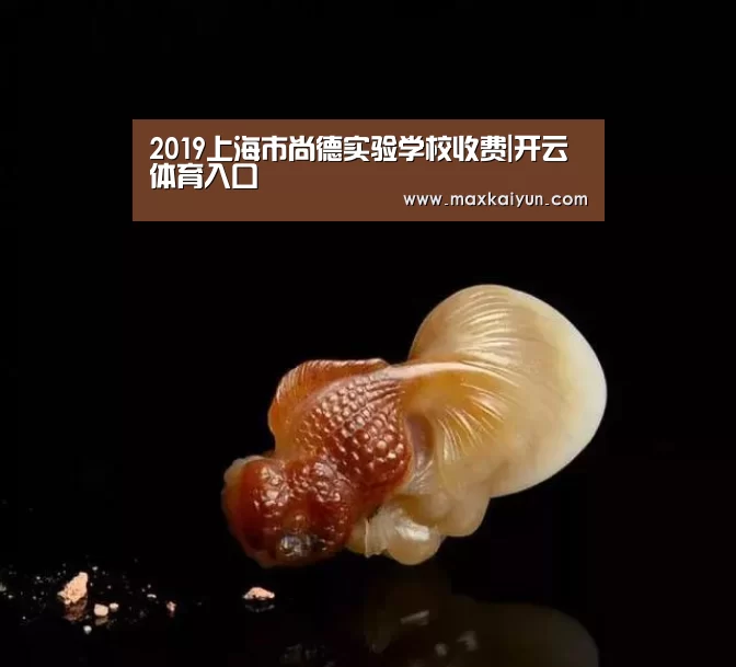 开云体育移动端