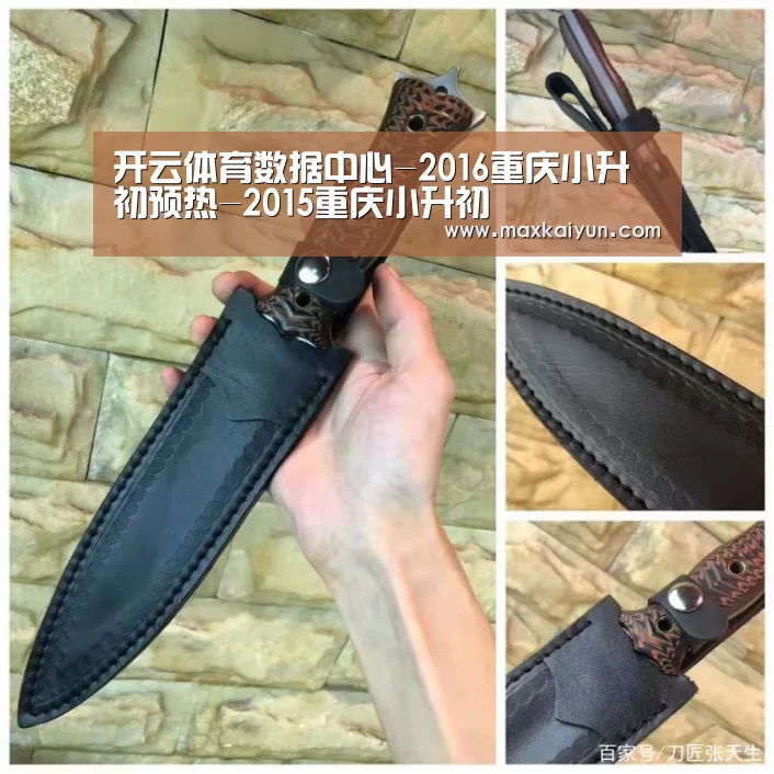 开云体育数据中心