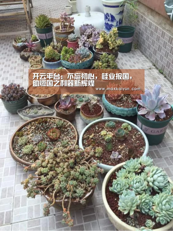 开云平台:不忘初心,硅业报国,助燃国之利器新辉煌(图3) 开云体育移动端