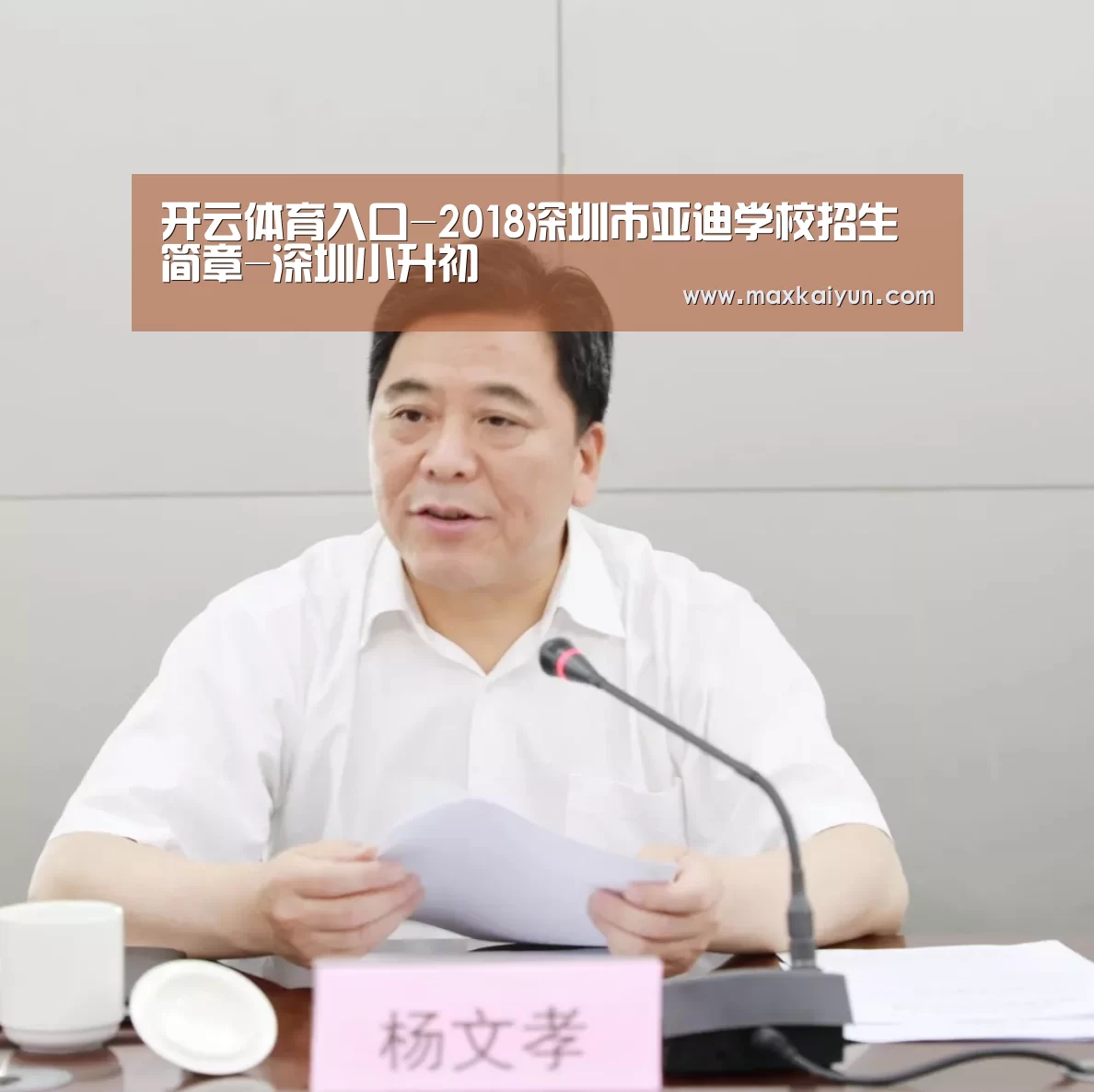 开云体育入口-2018深圳市亚迪学校招生简章-深圳小升初(图2) 开云体育数据中心