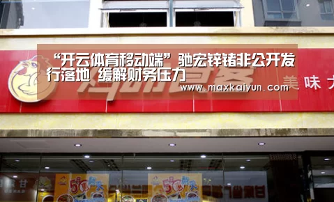 “开云体育移动端”驰宏锌锗非公开发行落地 缓解财务压力(图3) KAIYUN中国站